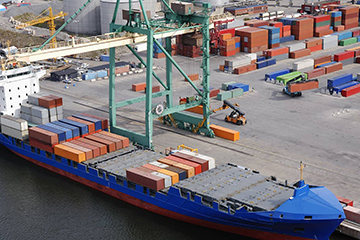 Logistica di import-export, Gestione Dogana e Documentazione